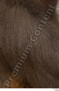 Monkey  2 arm fur 0001.jpg